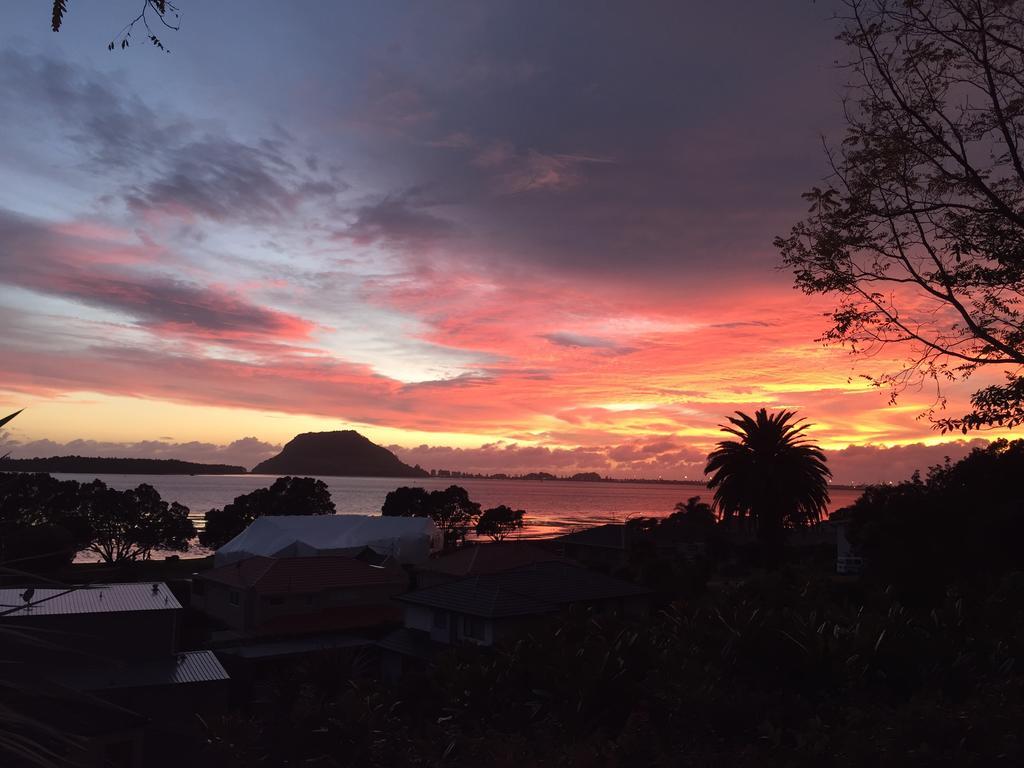 Matua Lodge Tauranga Pokój zdjęcie