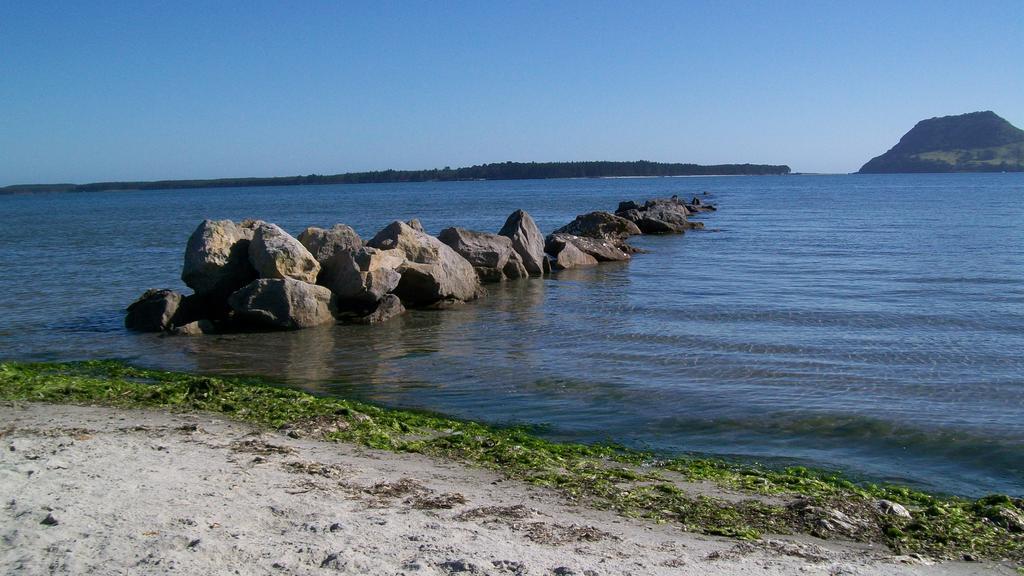 Matua Lodge Tauranga Pokój zdjęcie